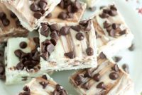 Peppermint Chocolate Chip Fudge