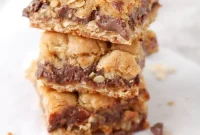 Decadent Oatmeal Fudge Squares