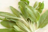 Find Your Perfect Sage Swap