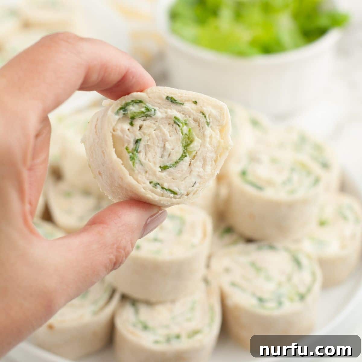 featured 84293