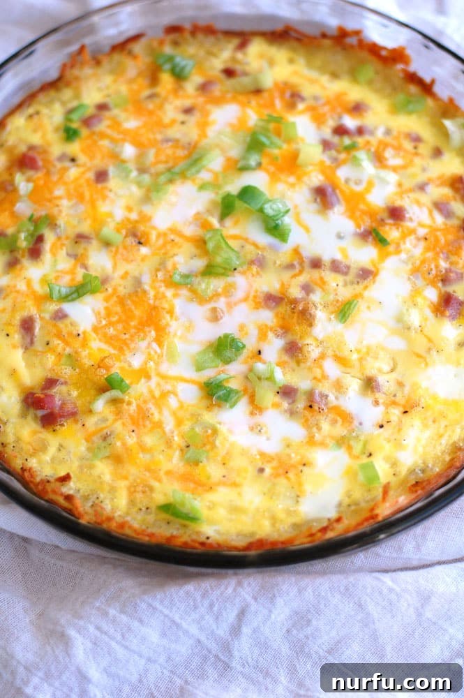 A delicious Hash Brown Crust Breakfast Casserole ready to be served. Close-up of a golden Hash Brown Crust Breakfast Casserole, filled with ham, cheese, and eggs, fresh out of the oven.