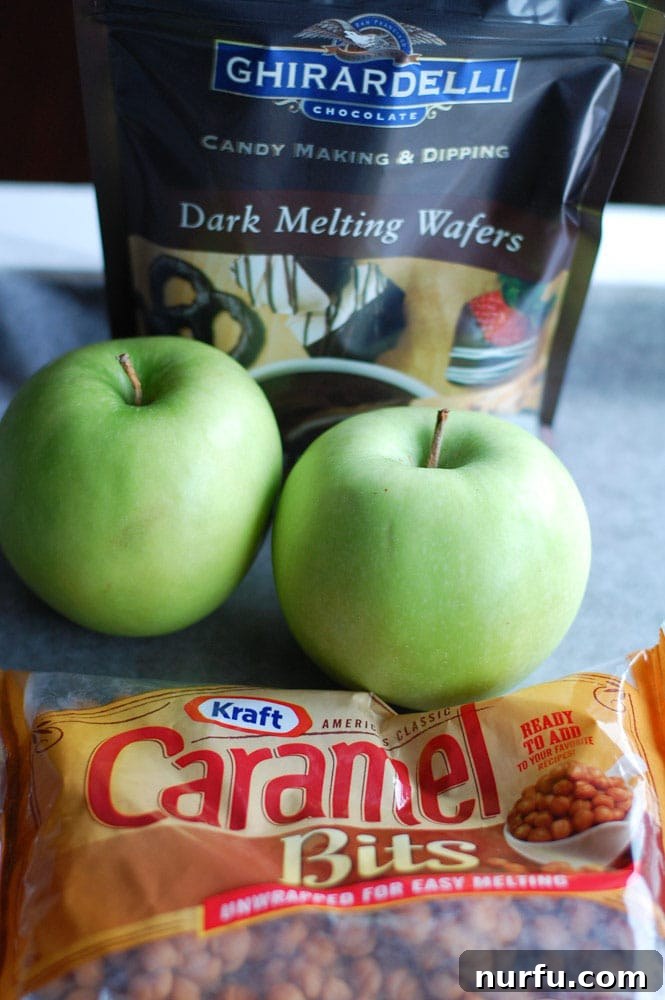 Chocolate Caramel Apple Delights 2 Close-up of freshly made chocolate and caramel apple slices