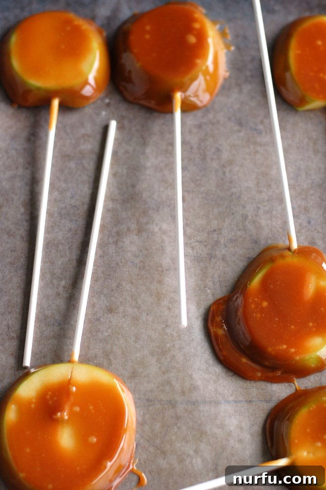 Chocolate Caramel Apple Delights 4 Caramel coated apple slices chilling