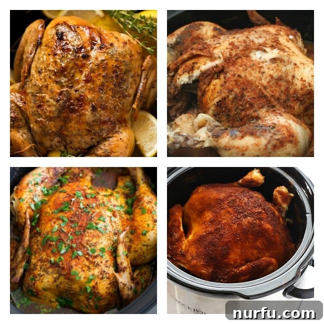25 Best Chicken Crockpot Recipes A selection of whole chicken recipes cooked in a slow cooker, showing tender and juicy results.