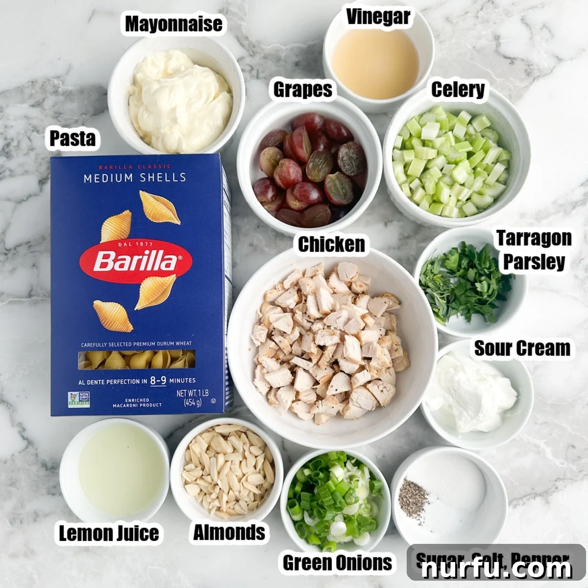 Vibrant Chicken Pasta Salad 2 Box of pasta, bowl of cooked chicken, grapes, mayo, lemon juice, almonds, sour cream, celery, and seasonings.