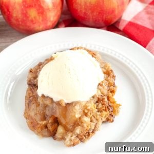 Plate with apple cobbler and ice cream.
