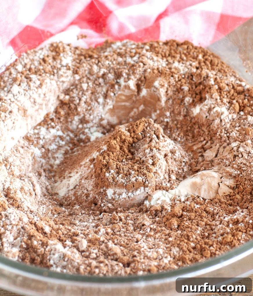 Black forest chocolate chip brownies Close-up of brownie batter with flour and cocoa powder being mixed.