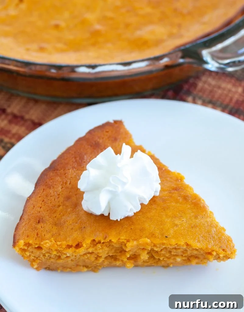 Piece of crustless pumpkin cheesecake with whipped cream on top