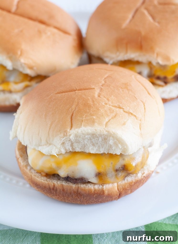 Air Fried Burger Perfection 2 Delicious cheeseburger served on a plate, perfectly cooked in an air fryer, ready to be enjoyed.