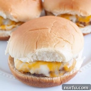 Cheeseburger on a plate.