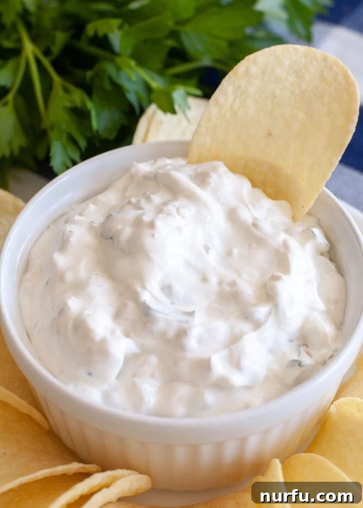 Caramelized Onion Dip 2 Classic Homemade French Onion Dip served in a rustic bowl with crispy potato chips, ready for a party appetizer.