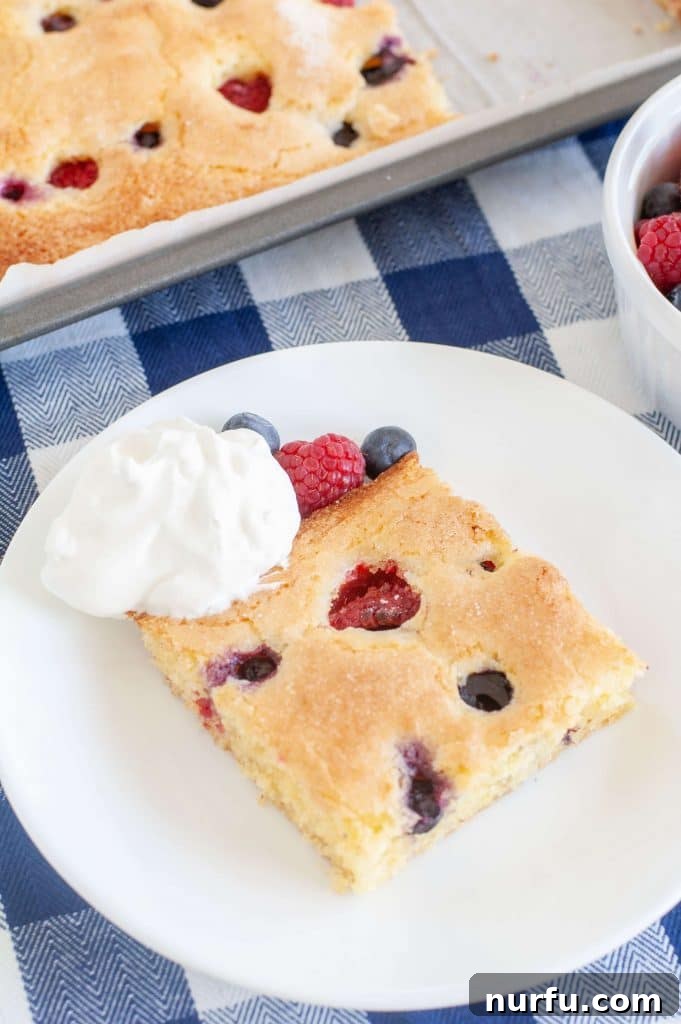 A slice of cornmeal berry sheet cake on a white plate, showcasing the berries and the golden crust.
