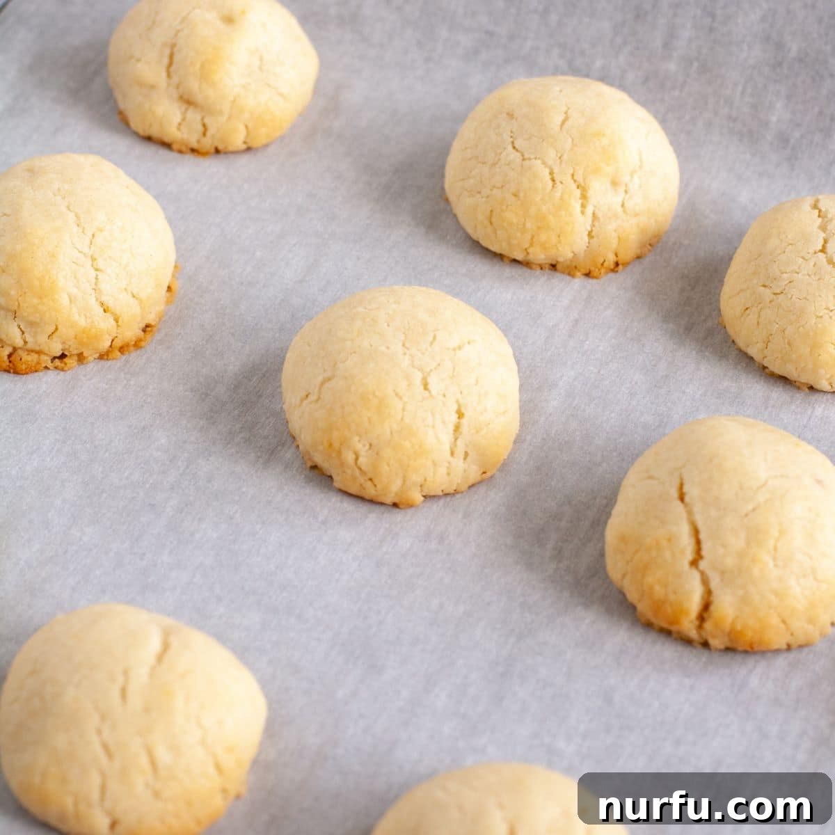 Powdered Lemon Puffs 4 Baked lemon snowball cookies on parchment paper, ready for their second sugar coating.