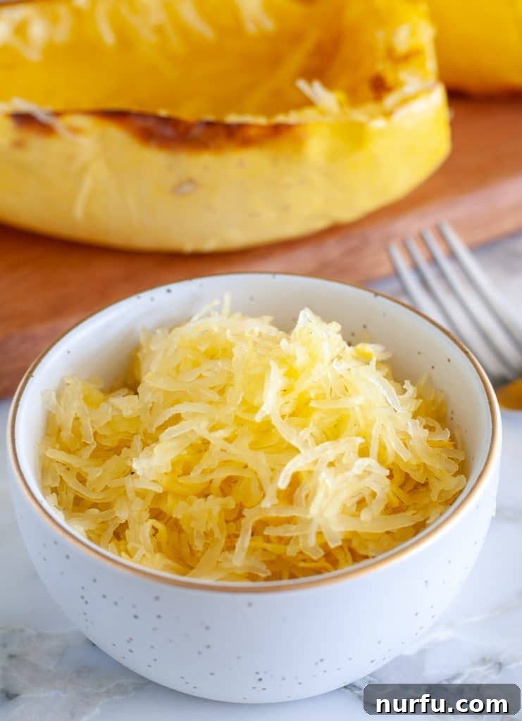 Crispy Air Fryer Spaghetti Squash 5 A bowl filled with air-fried spaghetti squash, highlighting its delicate, pasta-like strands, ready to be seasoned or topped.