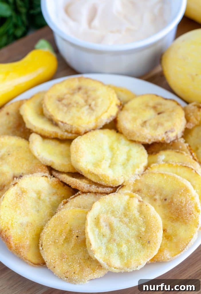 Southern Fried Yellow Squash 2 Sliced fried squash on a plate