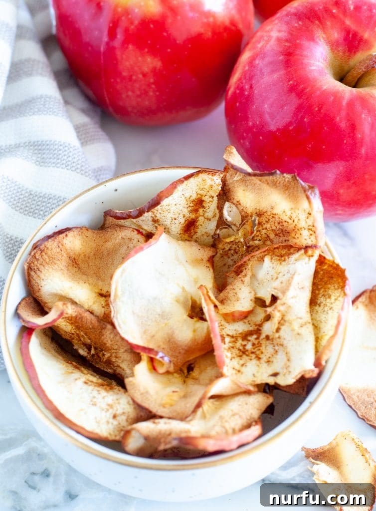 Crispy Air-Fried Apple Slices 2 A bowl filled with freshly made air fryer apple chips, ready to be enjoyed as a healthy snack.