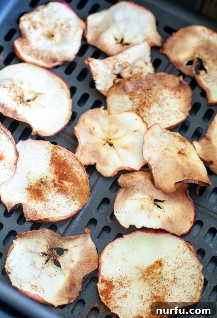 Crispy Air-Fried Apple Slices 4 Air fryer basket filled with crispy golden apple chips, ready to be served.