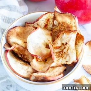 Crispy Air-Fried Apple Slices 5 Bowl of crispy air fryer apple chips.