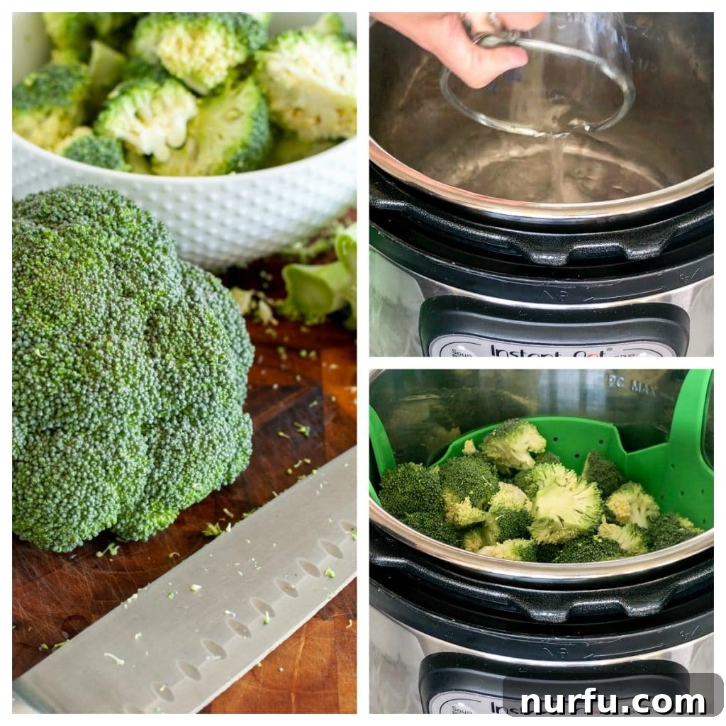 Quick and Tender Instant Pot Broccoli 3 Steamed broccoli florets ready to be served, next to an Instant Pot.