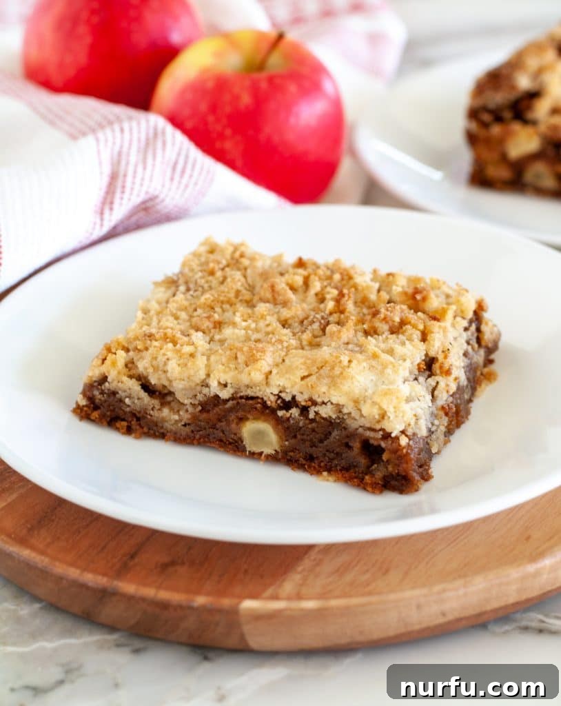 Spiced Apple Gingerbread Squares 4 gingerbread square on a plate