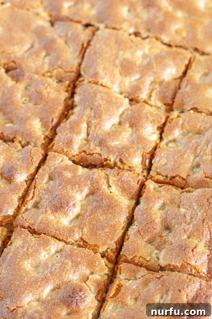 Blondies cut into perfect squares and arranged for serving