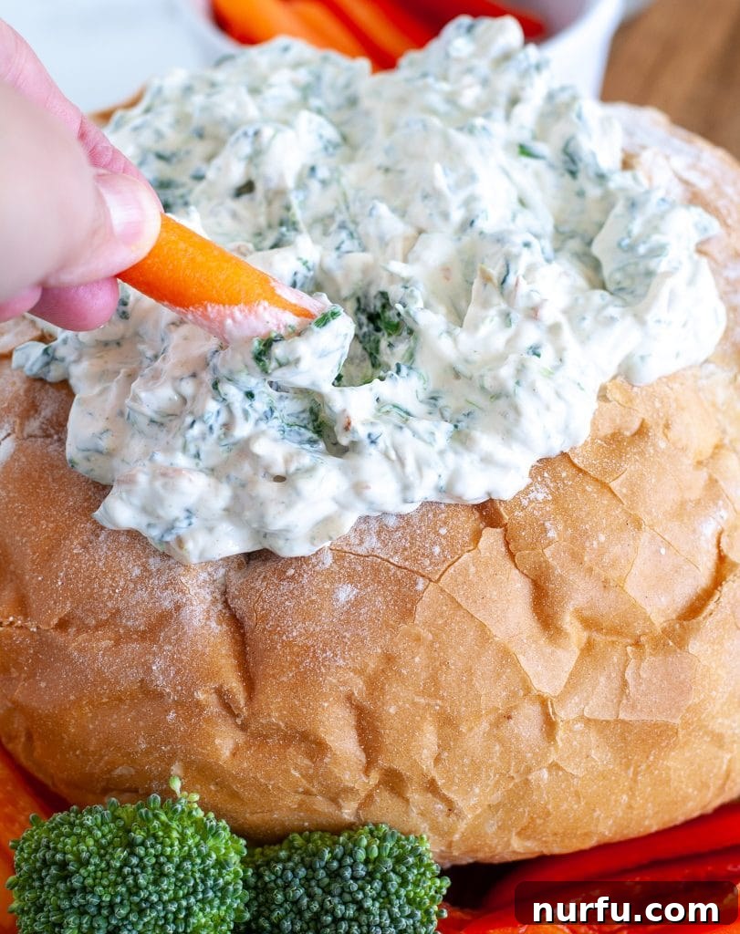 Creamy Knorr Spinach Dip 7 Spinach dip with carrot being dipped
