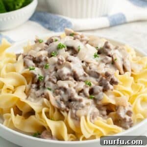 Plate of egg noodles and burger stroganoff.