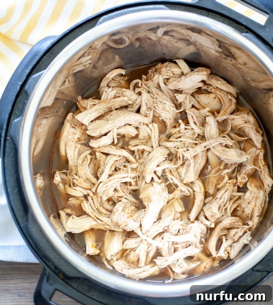 Speedy Instant Pot Pulled Chicken 4 Freshly shredded chicken nestled in the Instant Pot's inner pot, ready to be served or stored