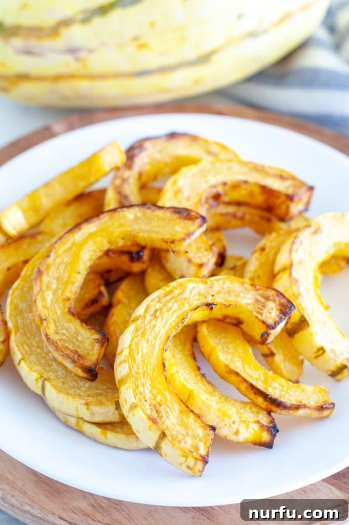 Golden Roasted Delicata Squash Oven and Air Fryer 2 Cooked delicata squash slices on a plate, showing golden-brown edges and a tender interior, ready to be served