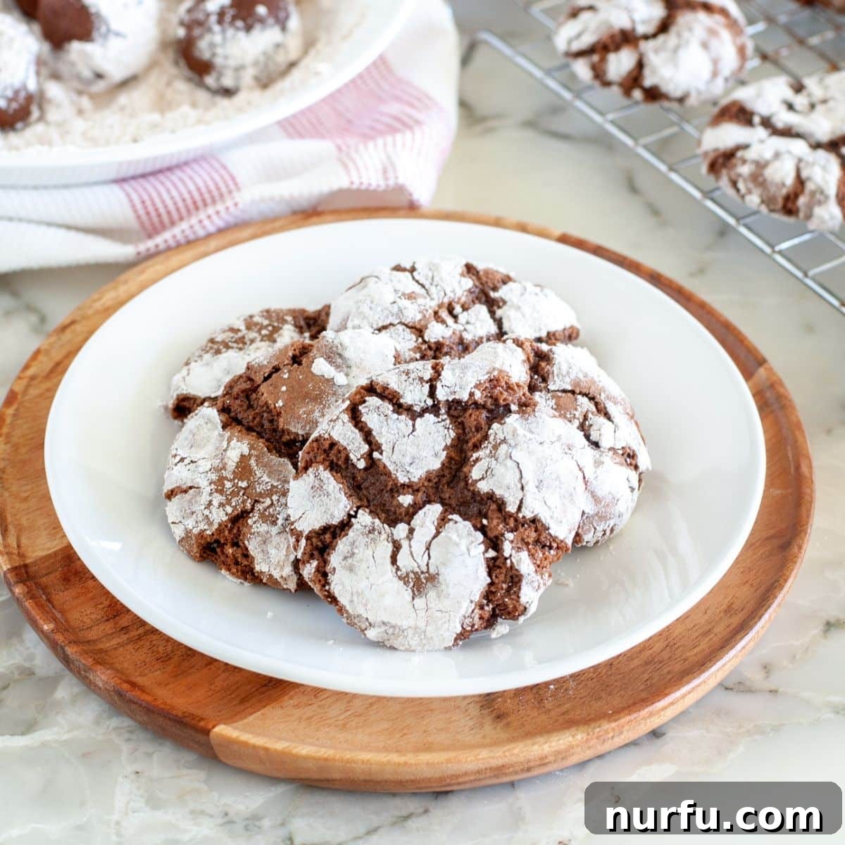 Spiced Chocolate Crinkle Delights 2 A beautifully arranged plate of freshly baked chocolate cinnamon crinkle cookies, showcasing their iconic powdered sugar coating and rich color.