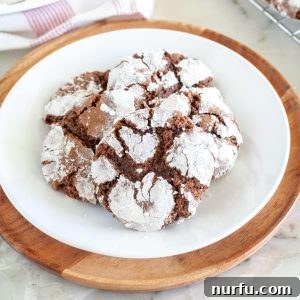 A single chocolate crinkle cookie on a white plate, beautifully showcasing its iconic powdered sugar coating and rich color.