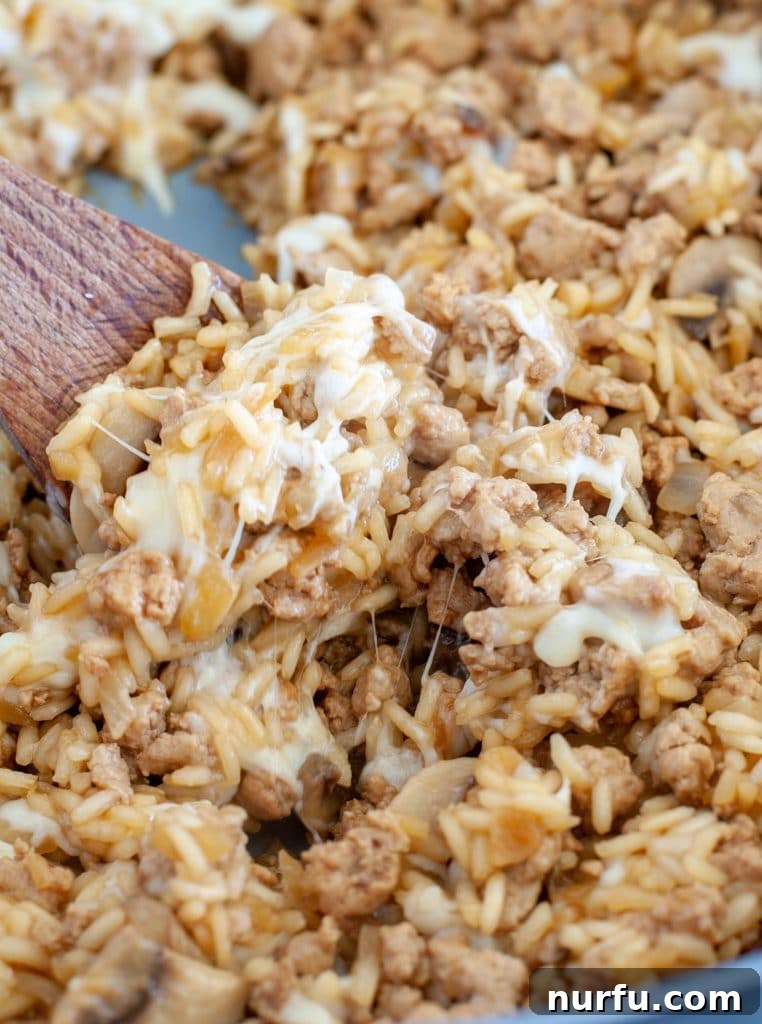 Hearty Turkey Casserole 2 Hearty Ground Turkey and Rice Casserole, served hot with a spoon, on a rustic wooden surface. A perfect example of easy ground turkey recipes.