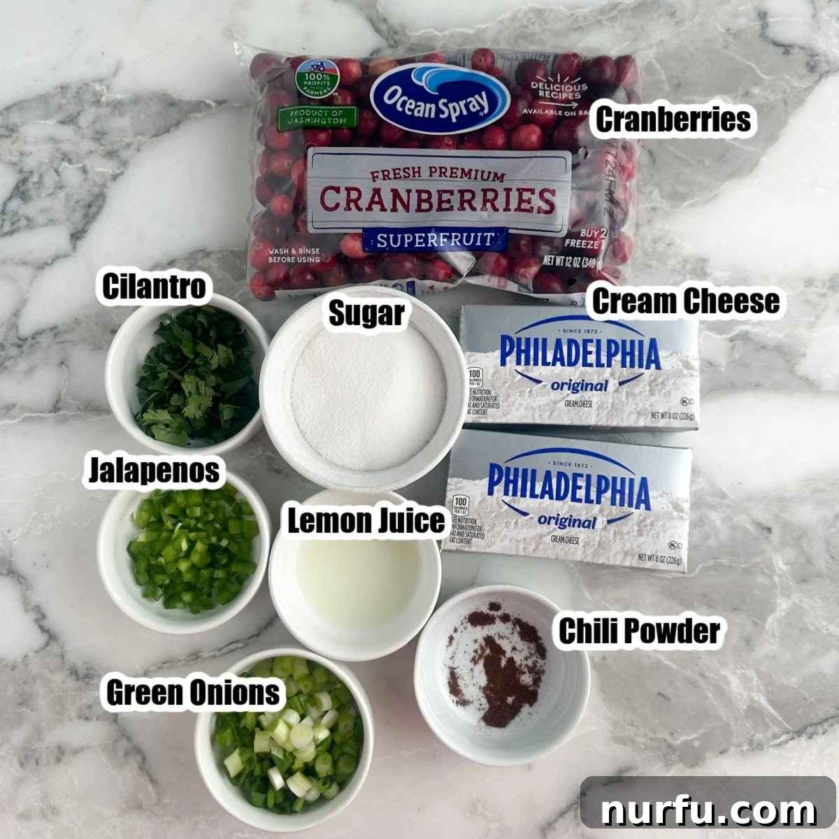 Arrangement of fresh cranberries, bowl of sugar, cream cheese blocks, fresh cilantro, and green onions, ready for making cranberry jalapeno dip.