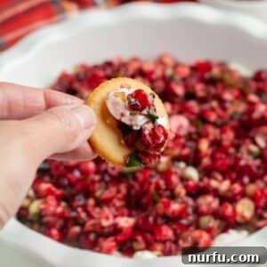 Hand holding a cracker with cranberry jalapeno dip.