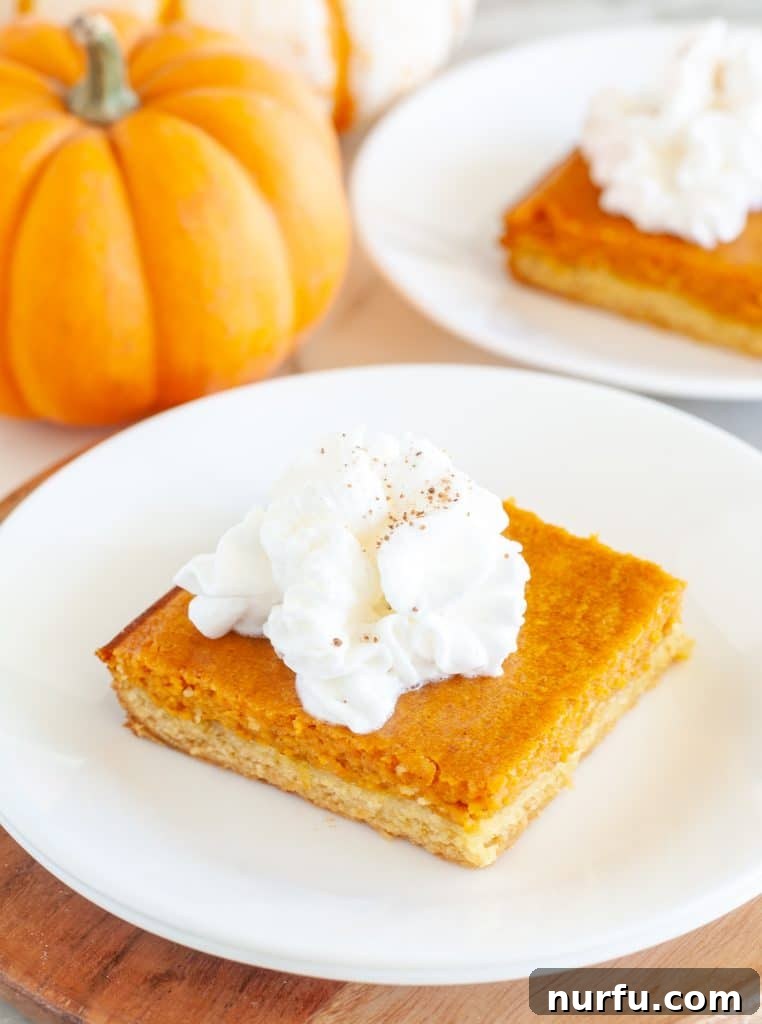 A perfectly sliced Pumpkin Gooey Butter Cake, rich and creamy, ready to be enjoyed.