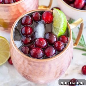 Moscow Mule in a copper cup with cranberries and a lime wedge.