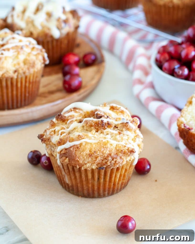 Spiced Cranberry Eggnog Delights 2 A freshly baked cranberry eggnog muffin, perfectly golden brown, with a dusting of powdered sugar, sitting on a parchment paper liner next to scattered fresh cranberries.