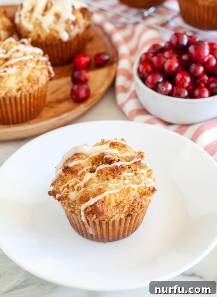 Spiced Cranberry Eggnog Delights 4 A single cranberry eggnog muffin, drizzled with glaze and topped with streusel, resting on a white ceramic plate next to a few loose fresh cranberries.