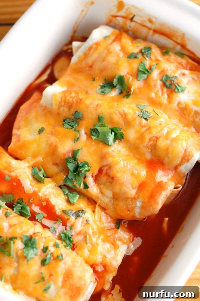 Baked Butternut Squash and Black Bean Enchiladas Casserole A casserole dish filled with baked butternut squash and black bean enchiladas, topped with melted cheese