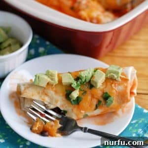 Butternut Squash and black bean enchiladas