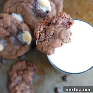 Rich chocolate cookies with a refreshing glass of milk, a perfect pairing.