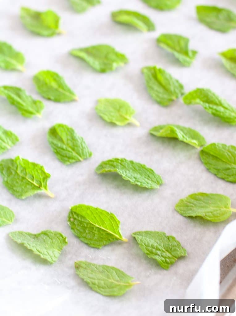 How to Freeze Fresh Mint Leaves 3 Mint leaves arranged on parchment paper on a baking sheet, ready for flash freezing.