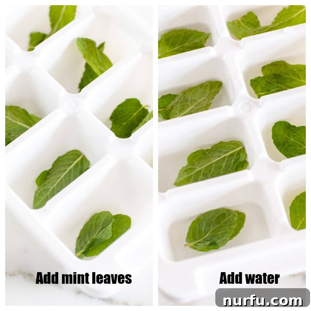How to Freeze Fresh Mint Leaves 4 Ice cube tray filled with fresh mint leaves submerged in water, ready for freezing.