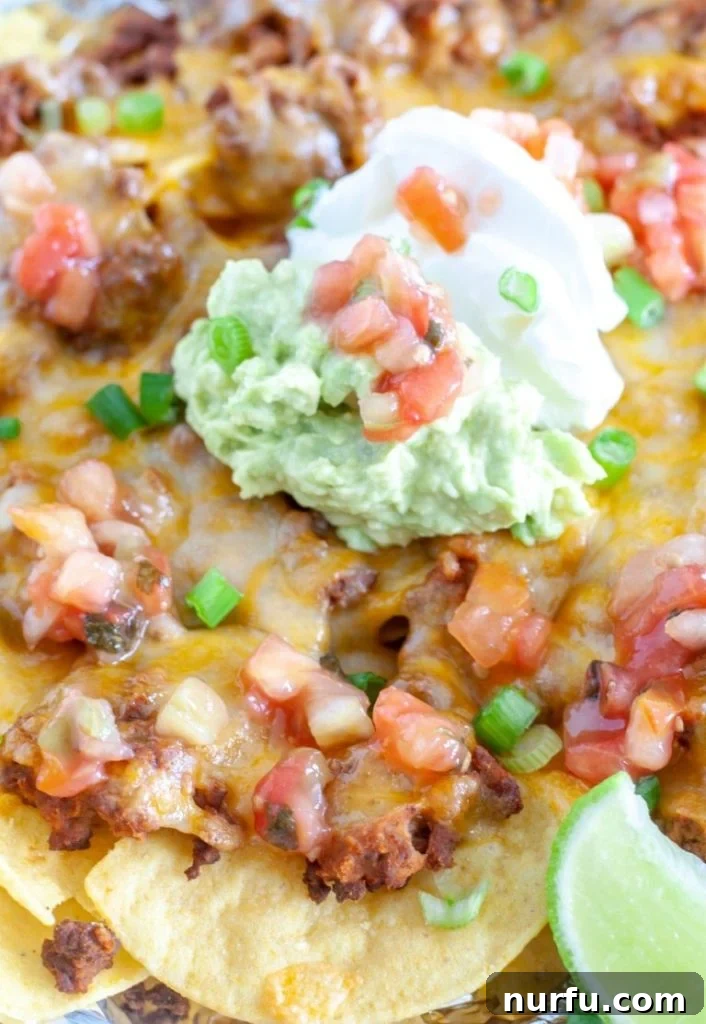Discover N-Foods 3 Plate of beef nachos.