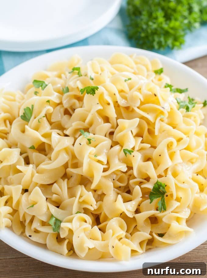 Discover N-Foods 4 Bowl of noodles.