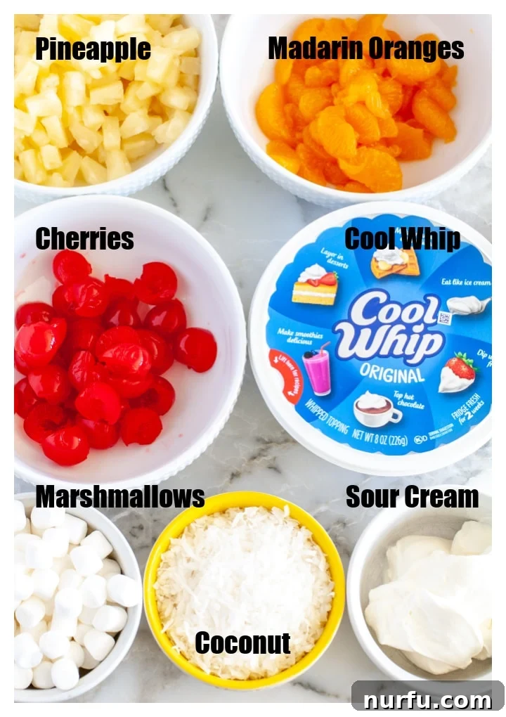 Heavenly Ambrosia Fluff 3 Individual bowls displaying the separate ingredients for Ambrosia Salad: bright red cherries, yellow pineapple, orange mandarin segments, white marshmallows, shredded coconut, a bowl of sour cream, and a tub of Cool Whip, ready to be combined.