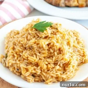 A plate of Texas Roadhouse Seasoned Rice ready to be served.