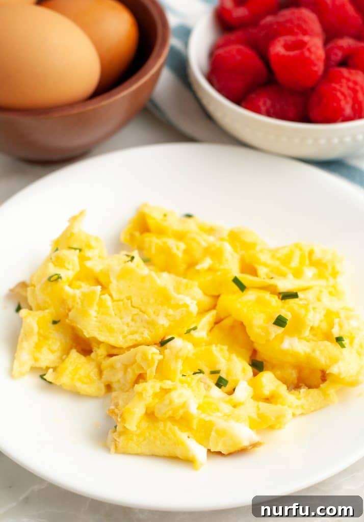Effortless Air Fryer Scramble 2 Scrambled eggs on a plate, perfectly cooked and ready to eat.
