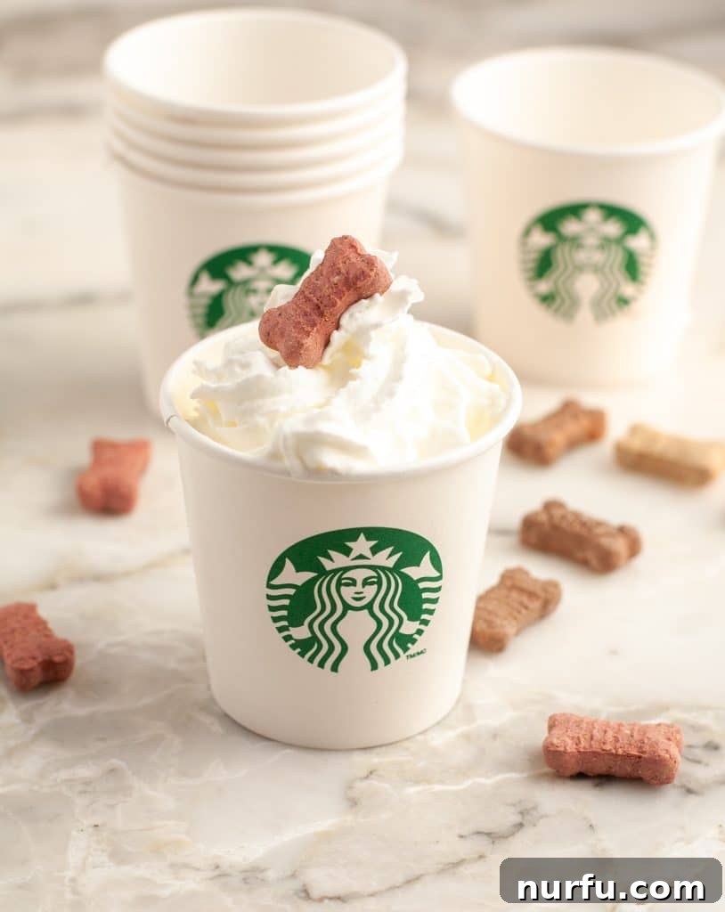 DIY Puppuccinos: Two Ways to Spoil Your Dog 2 Small Starbucks cup filled with whipped cream and topped with a small dog treat, ready for a dog to enjoy.