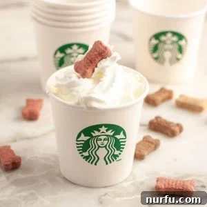 Small cup with whipped cream and a dog treat, a homemade Puppuccino.